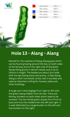 13